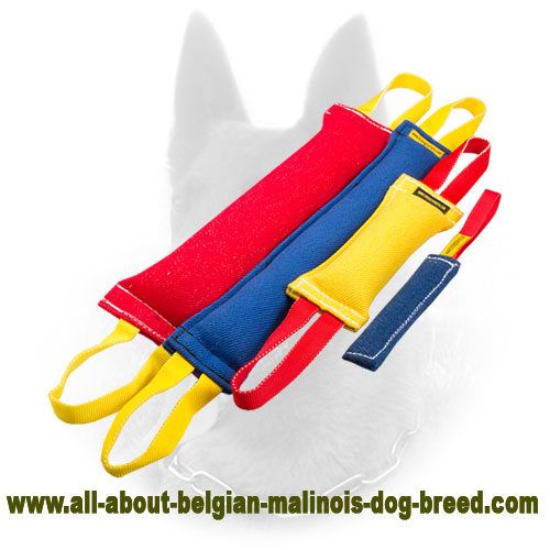 Get Belgian Malinois Bite Tugs Set