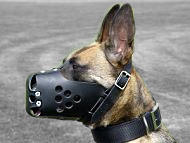 Belgian Malinois Training Leather Dog Muzzle/Agitation Dog Muzzle  Belgian Malinois Training Leather Dog Muzzle/Agitation Dog Muzzle