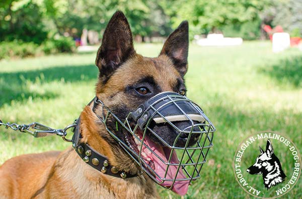 Belgian Malinois Wire Basket Dog Muzzle [M9###1065 Wire Basket Muzzle ...